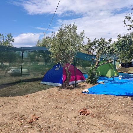 Aree Tende Presso La Casa In Campagna Di Ottavia Hotell Alezio Exteriör bild