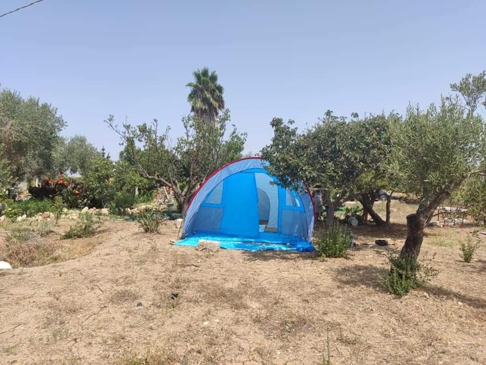 Aree Tende Presso La Casa In Campagna Di Ottavia Hotell Alezio Exteriör bild