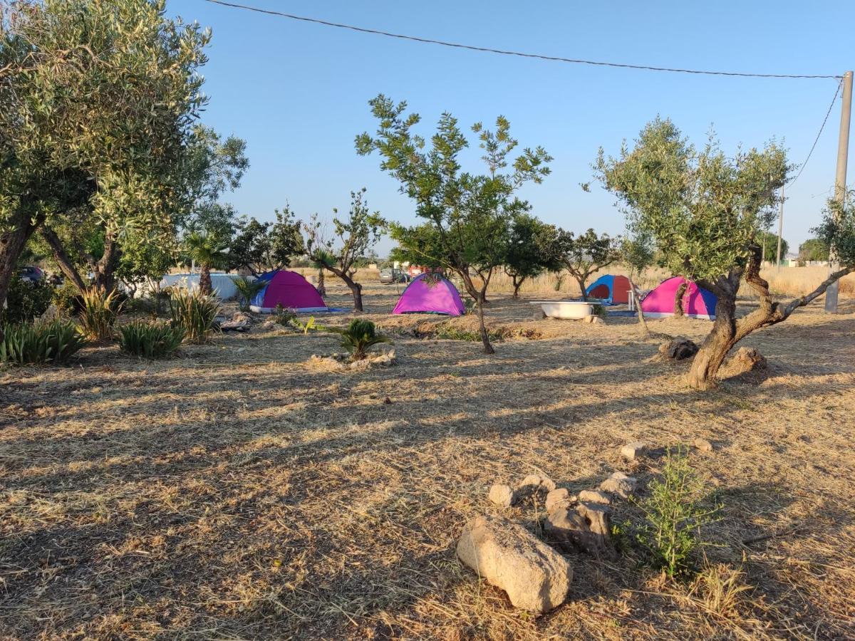 Aree Tende Presso La Casa In Campagna Di Ottavia Hotell Alezio Exteriör bild