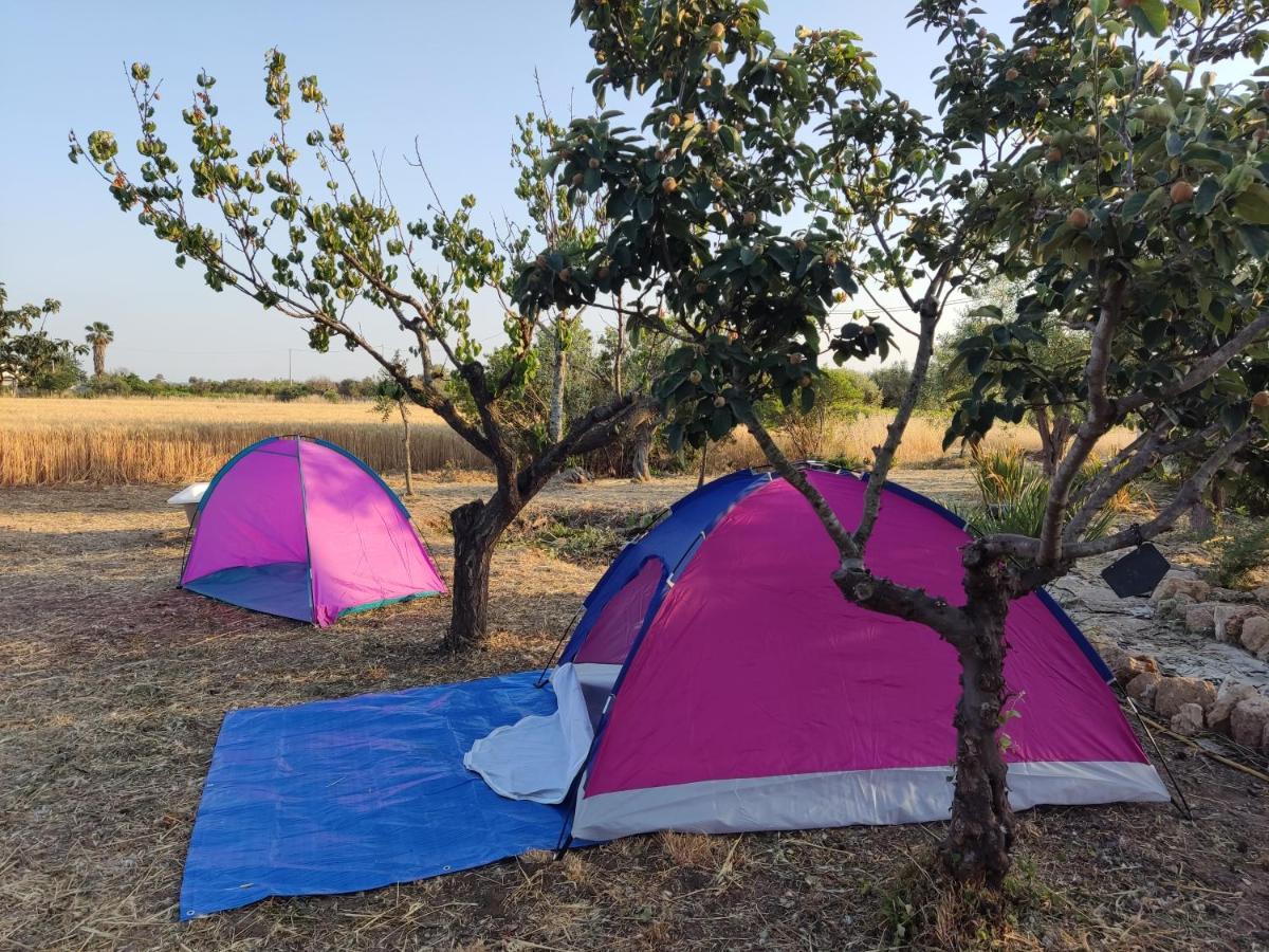 Aree Tende Presso La Casa In Campagna Di Ottavia Hotell Alezio Exteriör bild