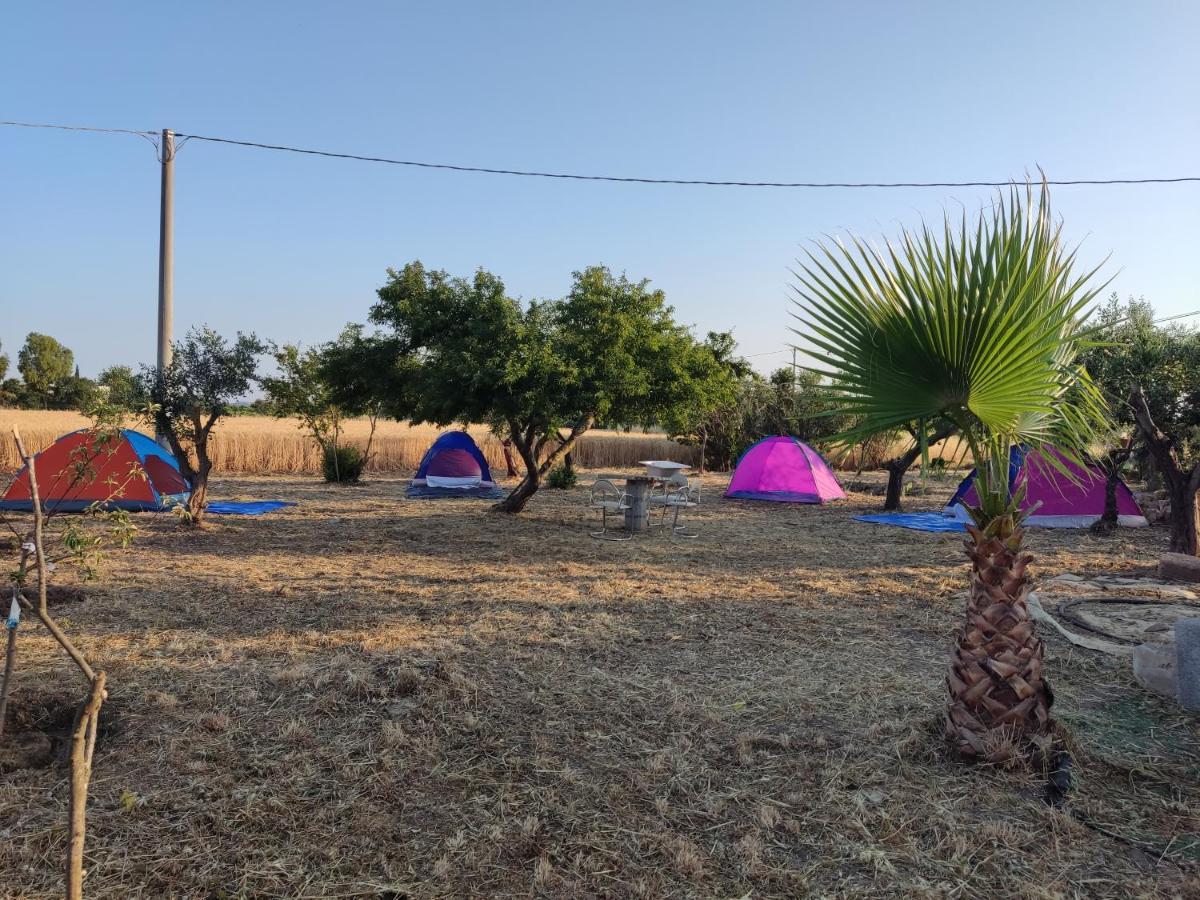 Aree Tende Presso La Casa In Campagna Di Ottavia Hotell Alezio Exteriör bild