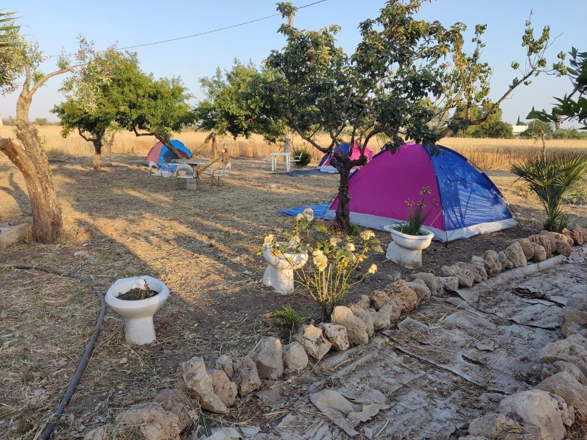 Aree Tende Presso La Casa In Campagna Di Ottavia Hotell Alezio Exteriör bild