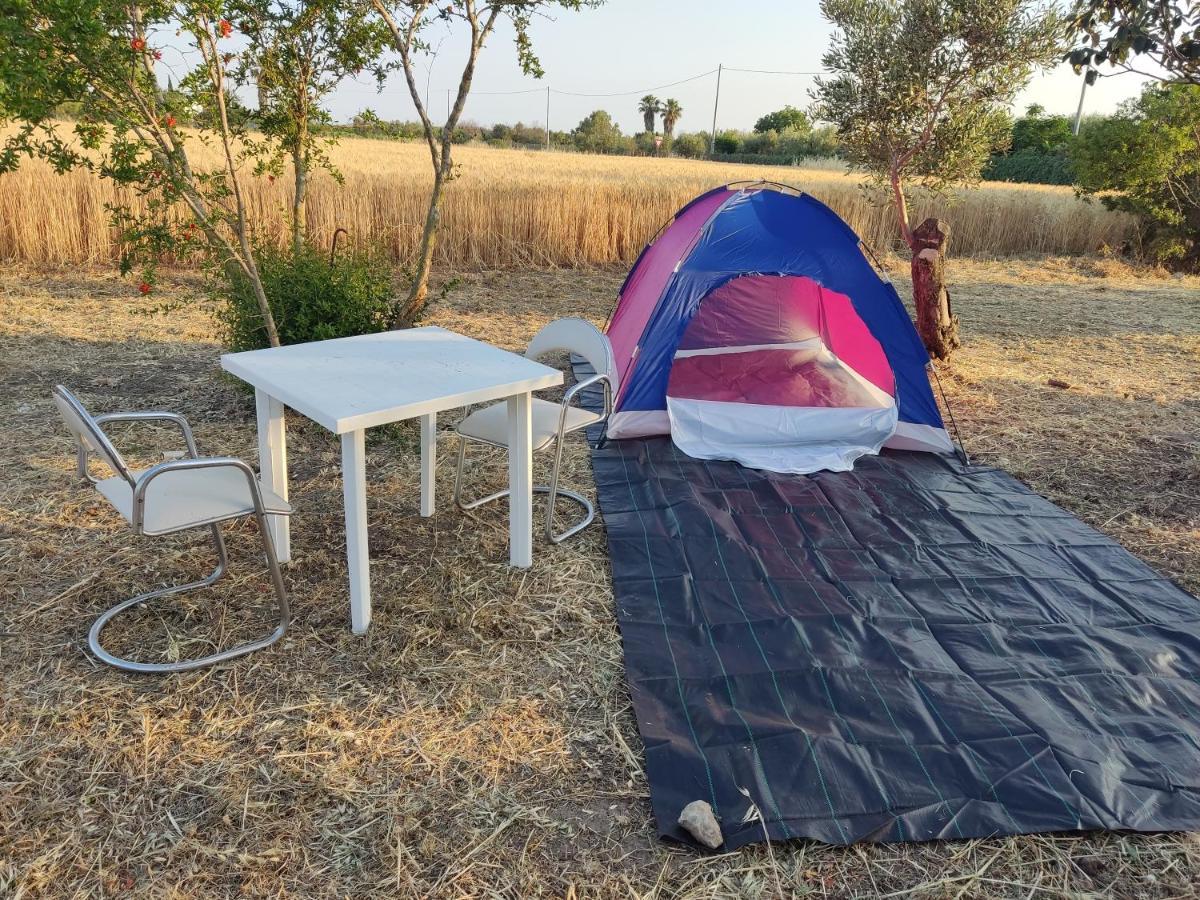 Aree Tende Presso La Casa In Campagna Di Ottavia Hotell Alezio Exteriör bild